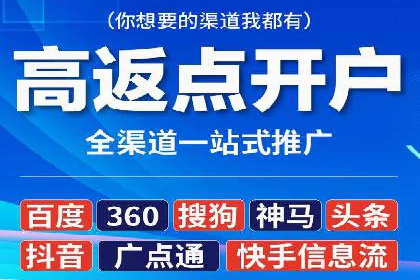 抖音信息流广告的投放策略与成功案例分析